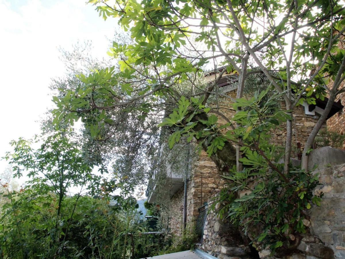 Holiday Home Mes Mas By Interhome Stellanello Exterior foto