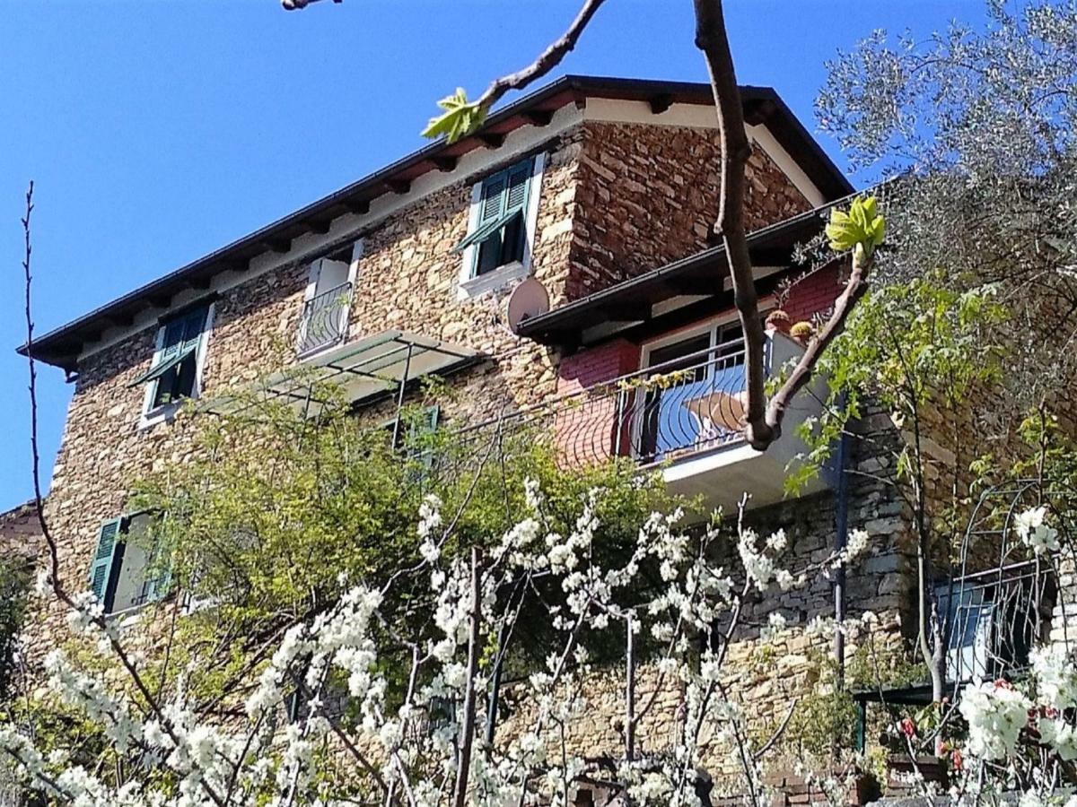 Holiday Home Mes Mas By Interhome Stellanello Exterior foto